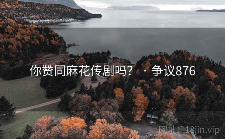 你赞同麻花传剧吗？ · 争议876