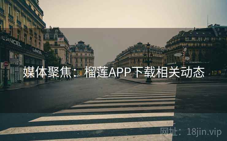 媒体聚焦：榴莲APP下载相关动态